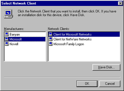 Network Client Window